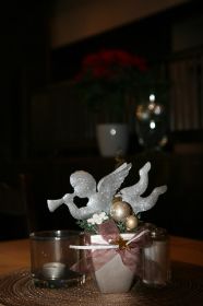 IMG_2631.jpg